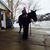 Tiffany Holder Schroeder's profile image