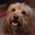 Robert Walsh's profile image