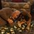 Susan Lawrence Monteiro's profile image