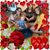 Debra Anlauf Colombrita's profile image