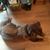 Gwynne Alexander's profile image