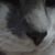 Sefra Manos's profile image