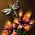 Debbie Harless's profile image