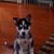 Coky Siguenza's profile image