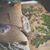 Michelle L Barnhart's profile image