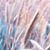 Jeri Long's profile image