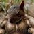 Daniel Taylor's profile image