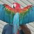 Michael Lindsey's profile image