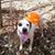 Cyndi Rayburn's profile image