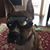 Stephanie Dell Oglesby's profile image