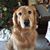 Marianne Takacs's profile image
