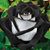 Amalia Lopez's profile image