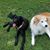 Karen Meyerson Johnson's profile image