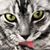 Dawn Peterson's profile image