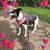 Cynthia Giller-Van Epps's profile image