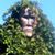 Jack Green's profile image