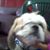 Edilma Salinas's profile image