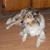 Chuck de la Riva's profile image