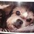 Lori Stein's profile image