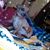 Carolyn Lawson's profile image
