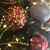 Donna DeMent Raney's profile image