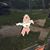 Joanie Castleberry Ihan's profile image