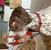 Cecily G. Steele's profile image