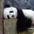 Susan Adams's profile image