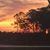 Theresa AndEric Robson-Lee's profile image