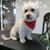 Claudia Frace's profile image