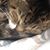 Christe Ada Casebolt's profile image