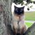 Andrew Spivak's profile image