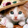 Kimberly W.'s profile image