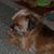 Carol Pagel's profile image