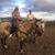 Linda Gale Smith's profile image