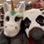 Jenn Furr's profile image