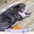 Laura Hasenfus Arnold's profile image