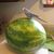 Cheryl Bobkoskie Chandler's profile image