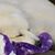 Katherine Cunningham's profile image