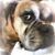 Teresa Stuller Burks's profile image