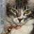Michel Stansbury's profile image