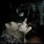 Baldo Y Ari's profile image