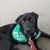 Emily DeVocht's profile image