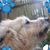 Jessy Lytle's profile image