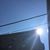 Lisa Bowditch's profile image