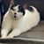 Amy Jojean Musick's profile image