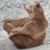 Sarah Callaway Shaver's profile image