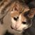Jennifer Dusek's profile image