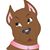 Justin Gallick's profile image