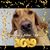 Patrice Nisson Granaldi's profile image